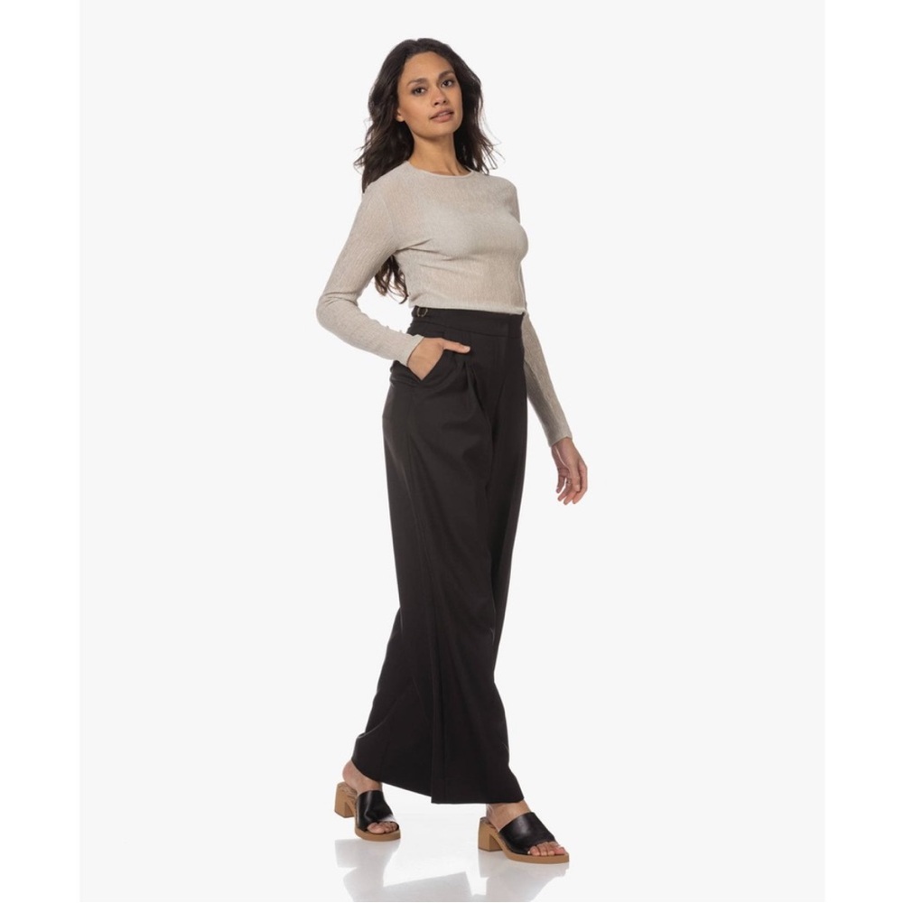 Vince Crinkle Long Sleeve Crewneck Lightweight Sheer Blouse Size L Minimalist - Picture 7 of 8